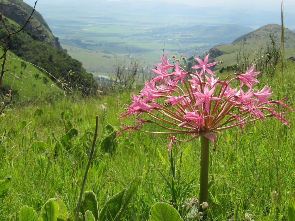 Verlorenkloof Dullstroom Exterior photo